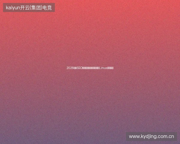 2026外贸SEO避坑指南：蜘蛛池收录与Linux劫持统计
